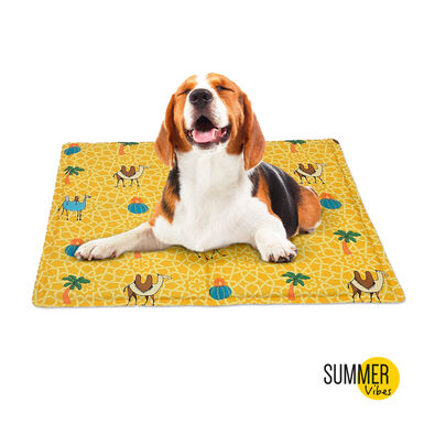 Summer Vibes Manta refrescante con estampado para perros