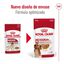 140 g Royal Canin Medium Adult Sobre en salsa para perros, , large indicador imagen numero 2