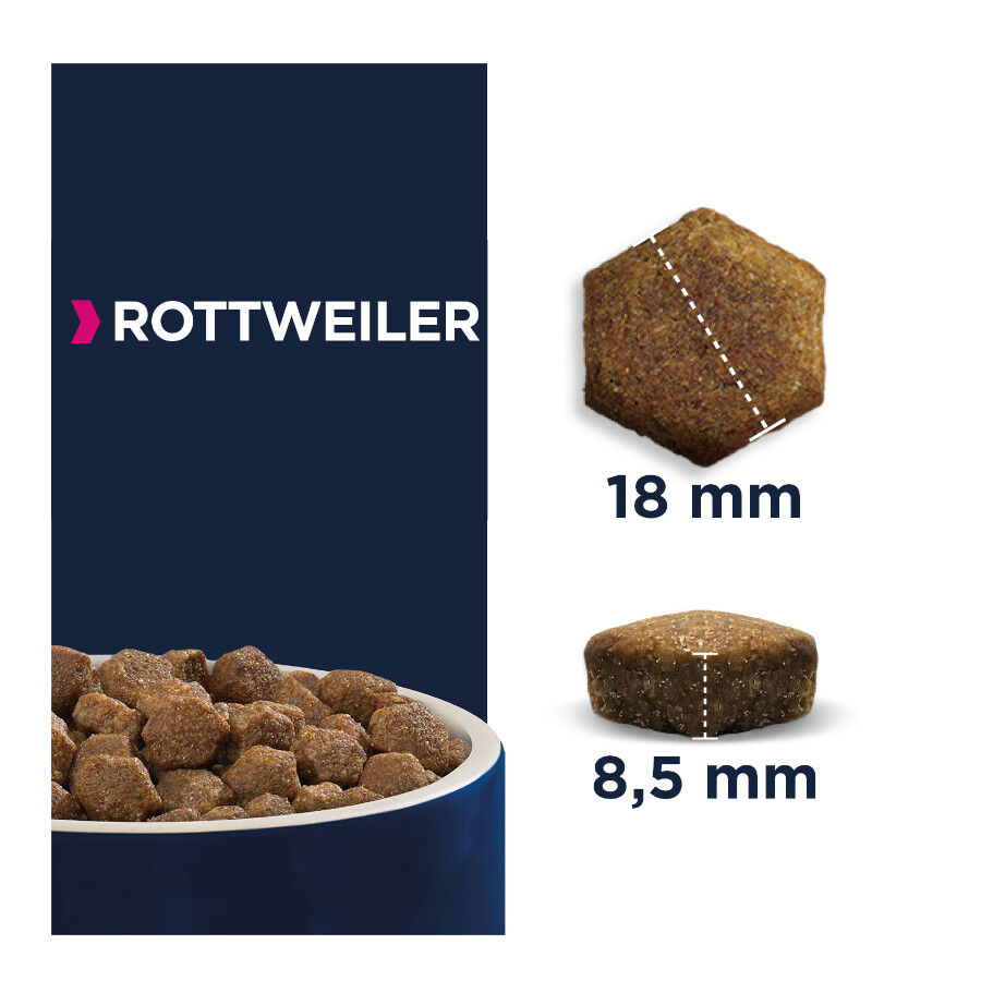 12 kg Eukanuba Adult Rottweiler pienso para perros, , large Imagen numero 2