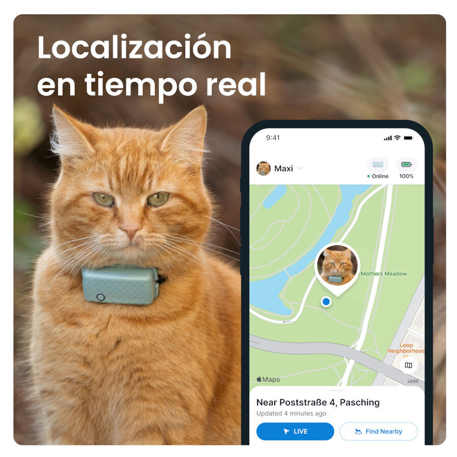 Tractive Cat Mini Localizador GPS Menta para gatos thumbnail