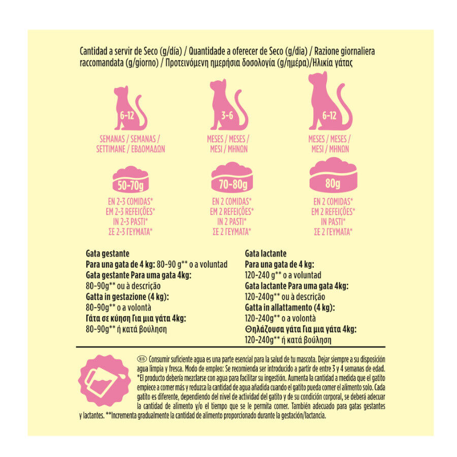 1.5 kg Friskies Junior pienso para gatos , , large Imagen numero 5