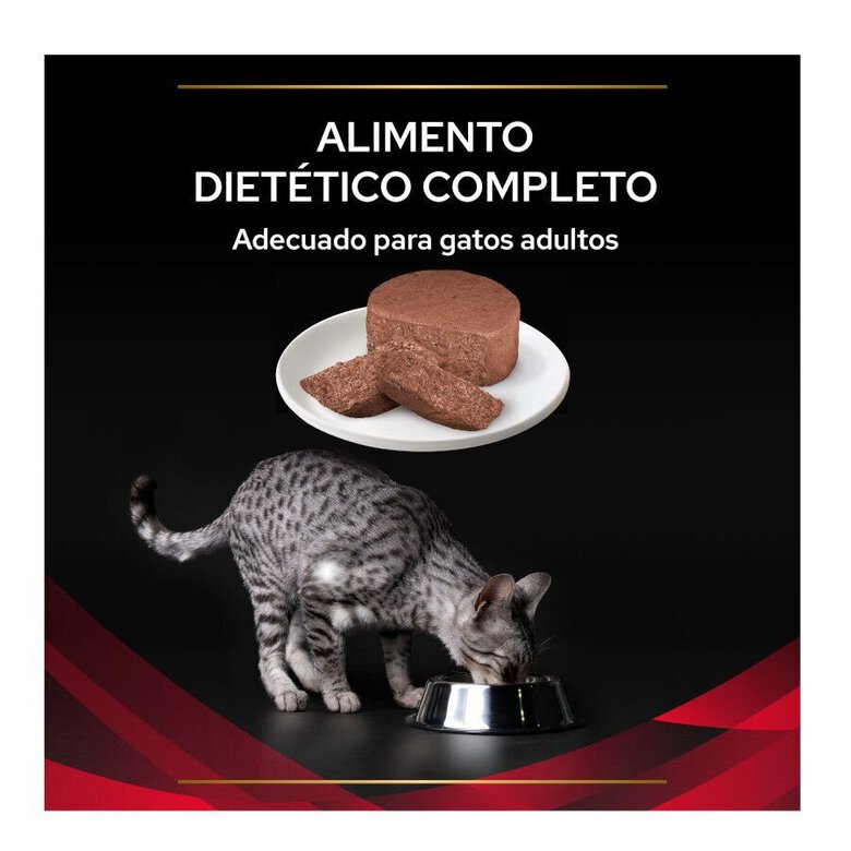 195 g Pro Plan Veterinary Diets Diabetes lata para gatos,  Imagen numero 3 195 g Pro Plan Veterinary Diets Diabetes lata para gatos, , large Imagen numero 3