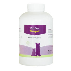 Stangest Enzivet para perros y gatos
