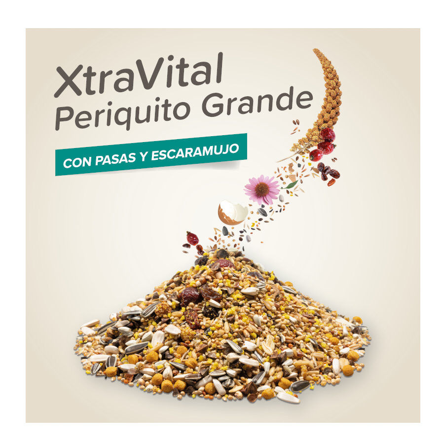 Beaphar XtraVital Mixtura para periquitos grandes thumbnail