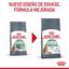 10 kg Royal Canin Adult Digestive pienso para gatos, , large indicador imagen numero 8