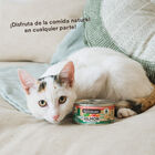 Wild Balance BARF Salmón y Ternera lata para gatos, , large image number null