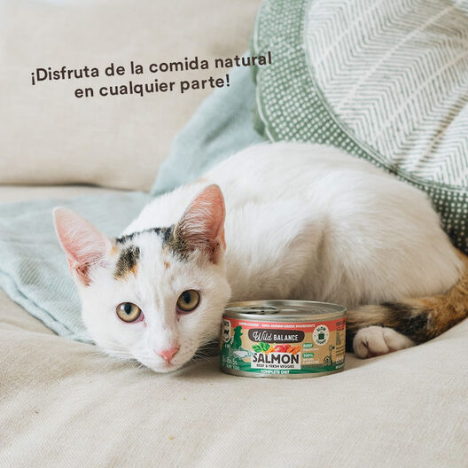 Wild Balance BARF Salmón y Ternera lata para gatos, , large image number null