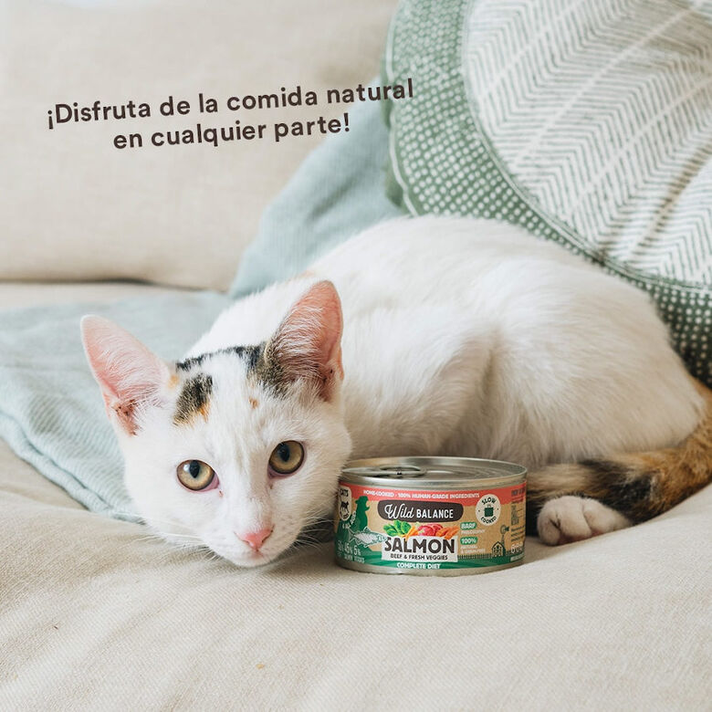Wild Balance BARF Salmón y Ternera lata para gatos thumbnail