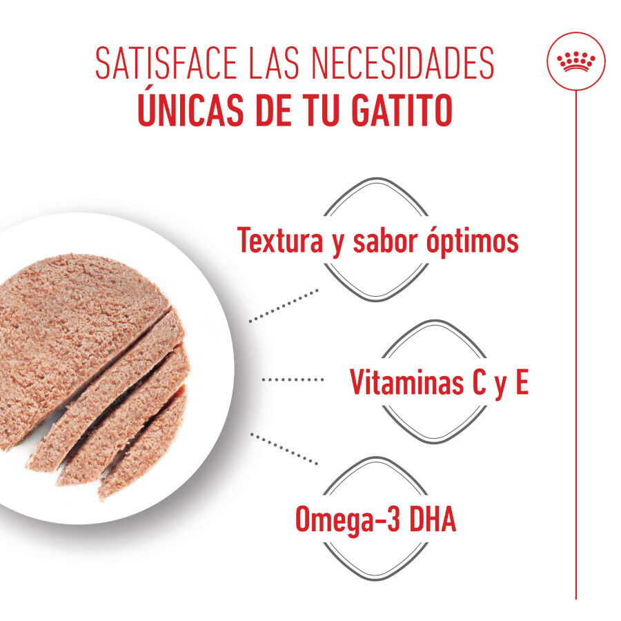 Royal Canin Kitten paté sobre para gatos thumbnail