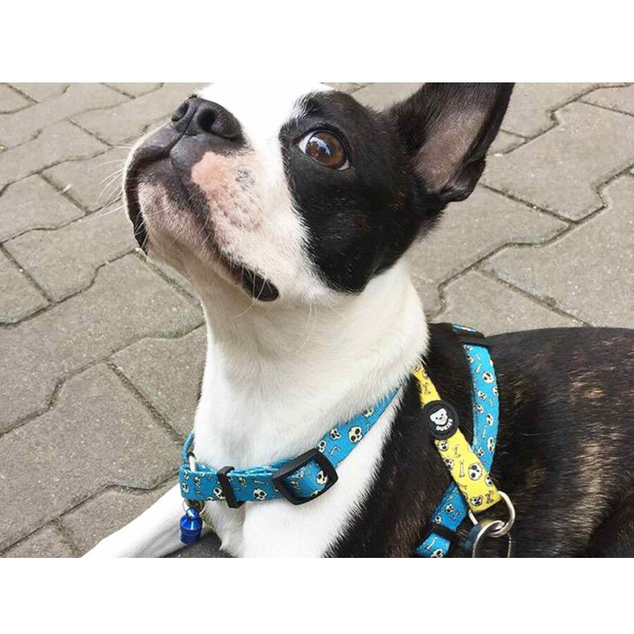 Dukier Skulls Arn&eacute;s Cl&aacute;sico Estampado Calaveras para perros, , large Imagen numero 2