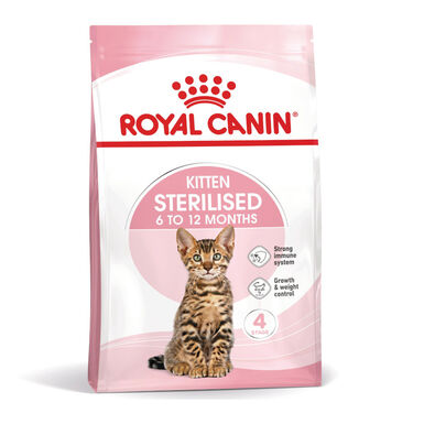 Royal Canin Kitten Sterilised pienso para gatos