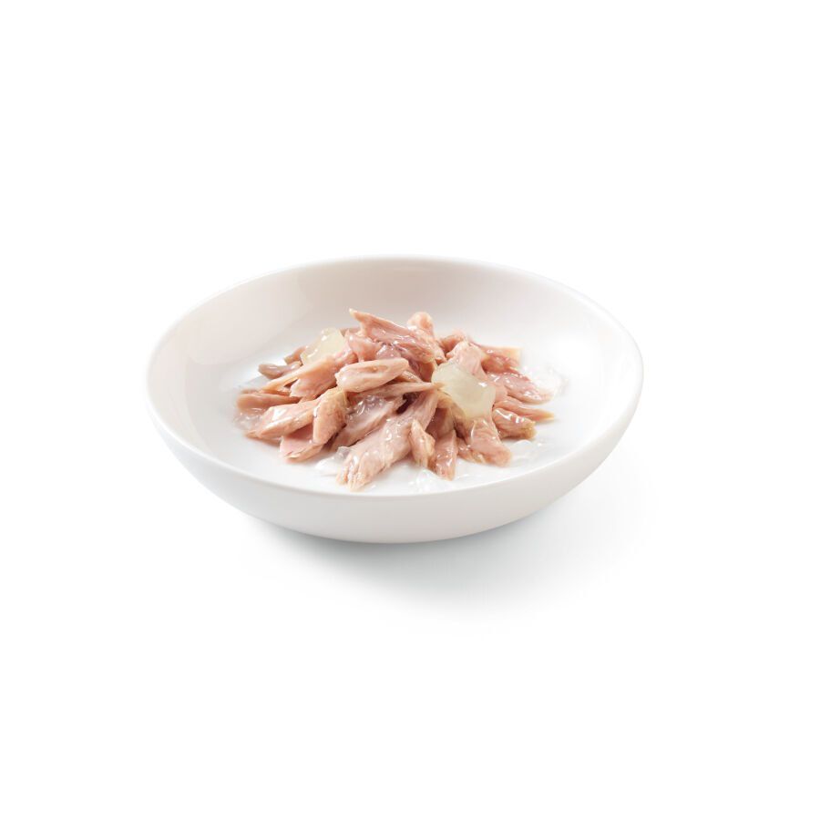 85 g Schesir Kitten at&uacute;n con aloe lata para gatitos, , large Imagen numero 2