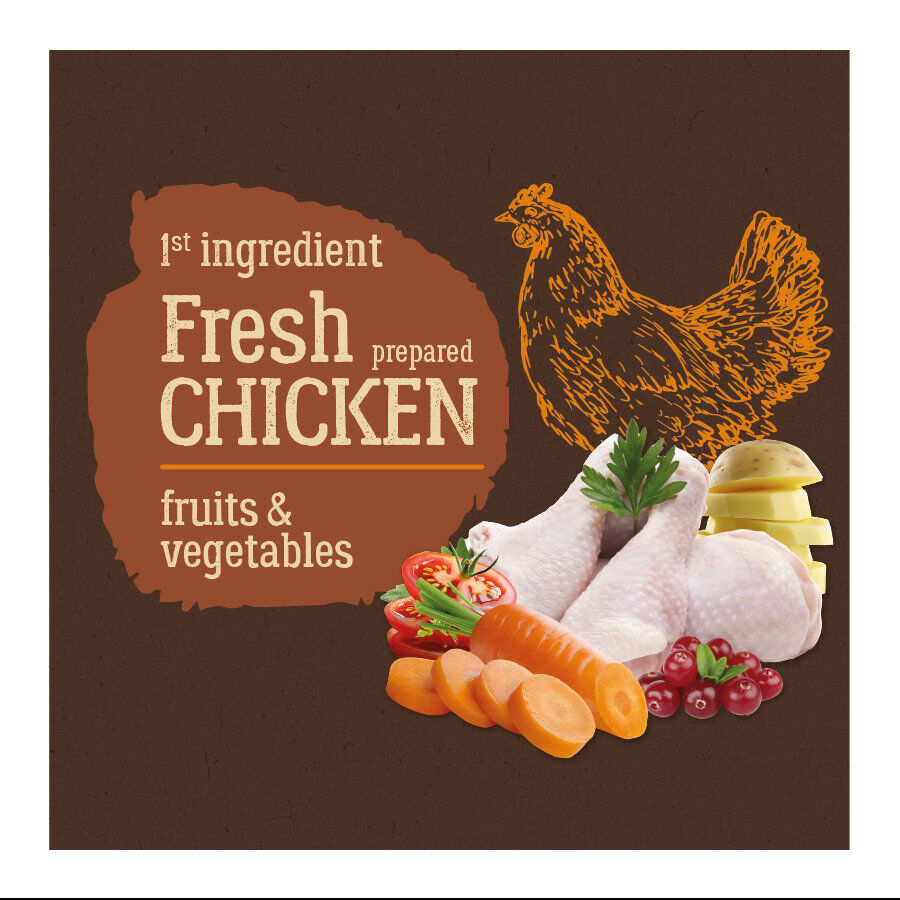 True Origins Pure Adult Pollo No Grain pienso para perros thumbnail