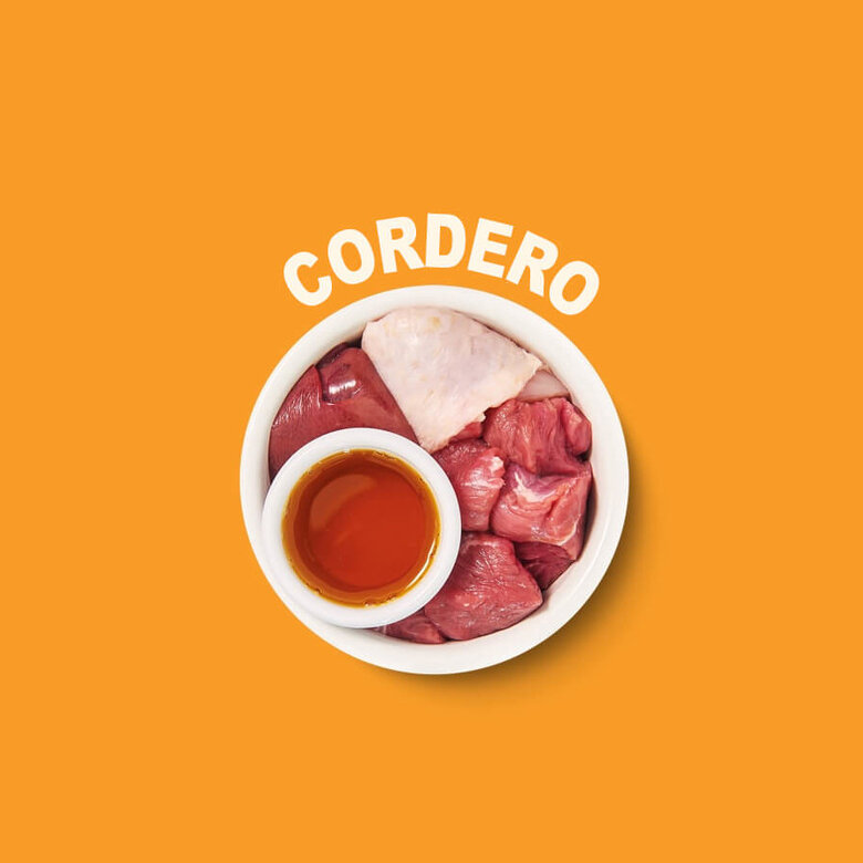 8 tarrinas x 85 g Lily's Kitchen Feline Smooth Selection paté tarrinas ,  Imagen numero 5 8 tarrinas x 85 g Lily's Kitchen Feline Smooth Selection paté tarrinas , , large Imagen numero 5