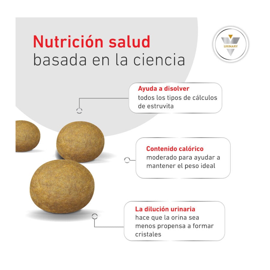 9 kg Royal Canin Veterinary Urinary S/O Moderate Calorie pienso para gatos, , large Imagen numero 6