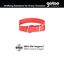 Gotoo Collar Biothane rojo para perros, , large indicador imagen numero 3