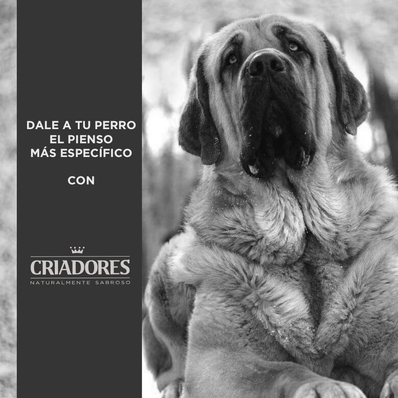 Criadores Adulto Light pienso para perros de raza grande y mediana thumbnail