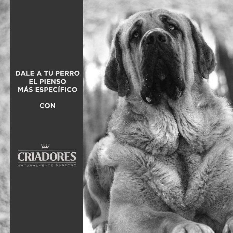 15 kg Criadores Adulto Light pienso para perros de raza grande y mediana,  Imagen numero 5 15 kg Criadores Adulto Light pienso para perros de raza grande y mediana, , large Imagen numero 5