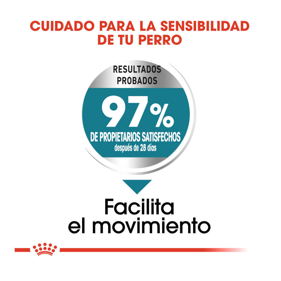 Royal Canin Joint Care Maxi pienso para perros thumbnail