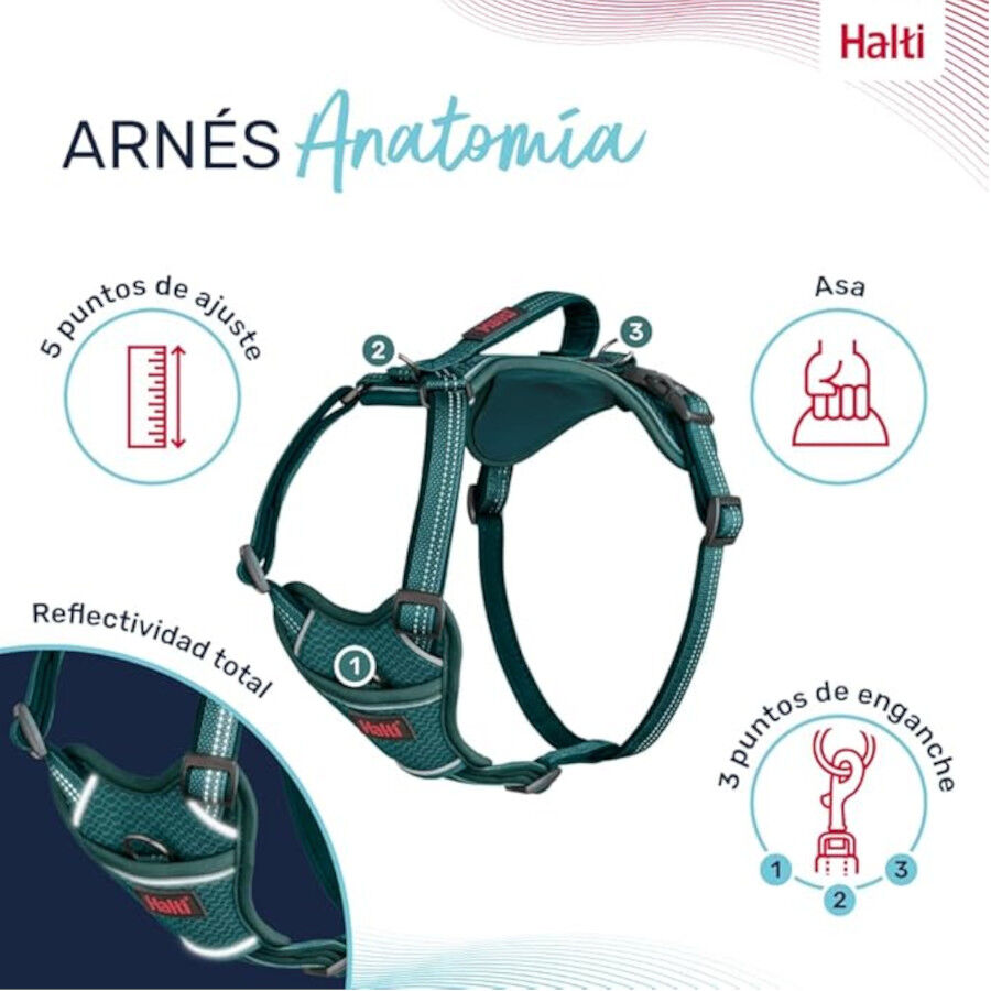 Halti arn&eacute;s anat&oacute;mico con asa azul verdoso para perros, , large Imagen numero 3