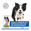 14 kg Hill's Science Plan Youthful Vitality Medium Adult Pollo&nbsp;pienso para perros, , large indicador imagen numero 6