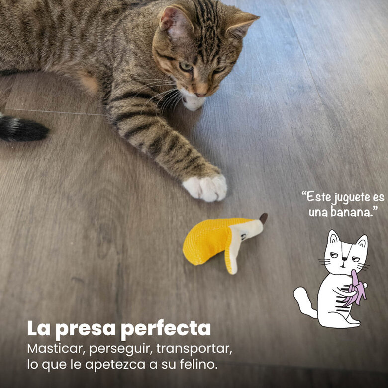Catstages Dental Peluche Banana para gatos,  Imagen numero 6 Catstages Dental Peluche Banana para gatos, , large Imagen numero 6