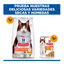7 kg Hill's Science Plan Perfect Digestion Adult Pollo Pienso para gatos, , large indicador imagen numero 8