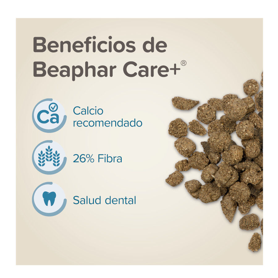 Beaphar Care+ pienso para conejos seniors, , large Imagen numero 3