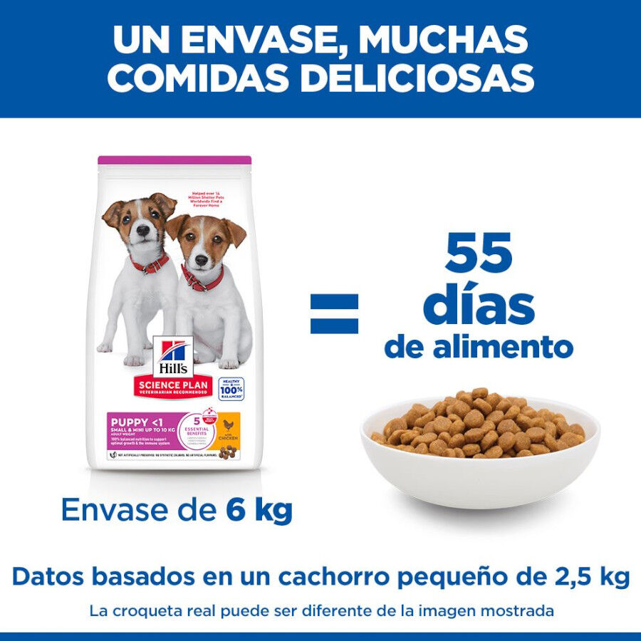 6 kg Hill's Science Plan Puppy Small y Mini Pollo Pienso para cachorros, , large Imagen numero 6
