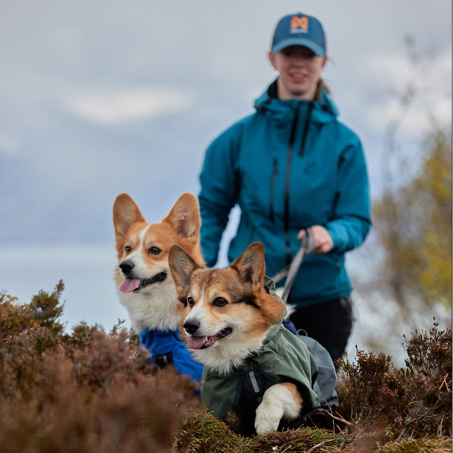 Non-stop dogwear Fjord Chubasquero Impermeable Negro para perros thumbnail