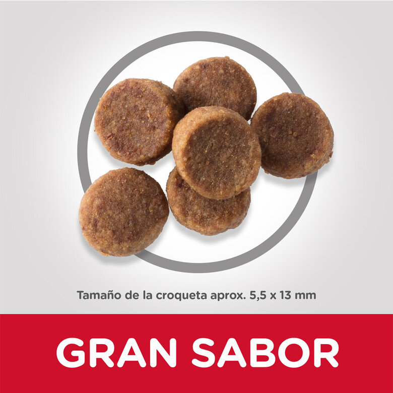 Hill's Science Plan Puppy large Pollo pienso para perros, , large image number null