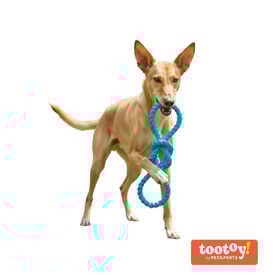 Tootoy! Mordedor Rubber Seaknot de Goma Azul para perros