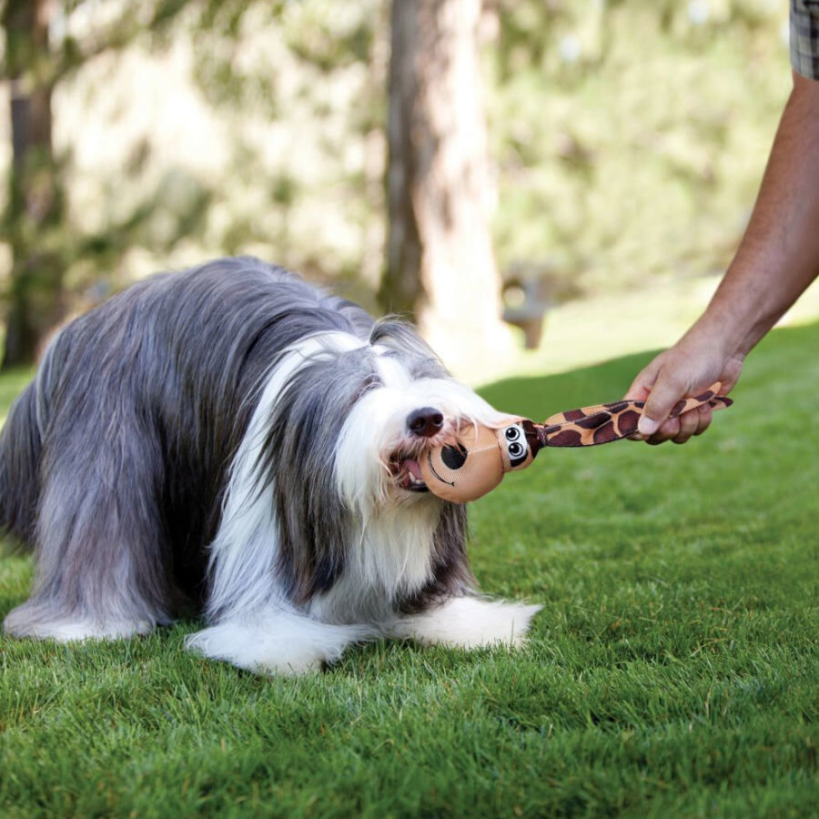 Kong Wubba Floppy Ear juguete para perros thumbnail
