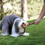 Kong Wubba Floppy Ear juguete para perros, , large indicador imagen numero 2