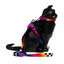 Zee Cat Prisma Arnés y correa para gatos, , large indicador imagen numero 2