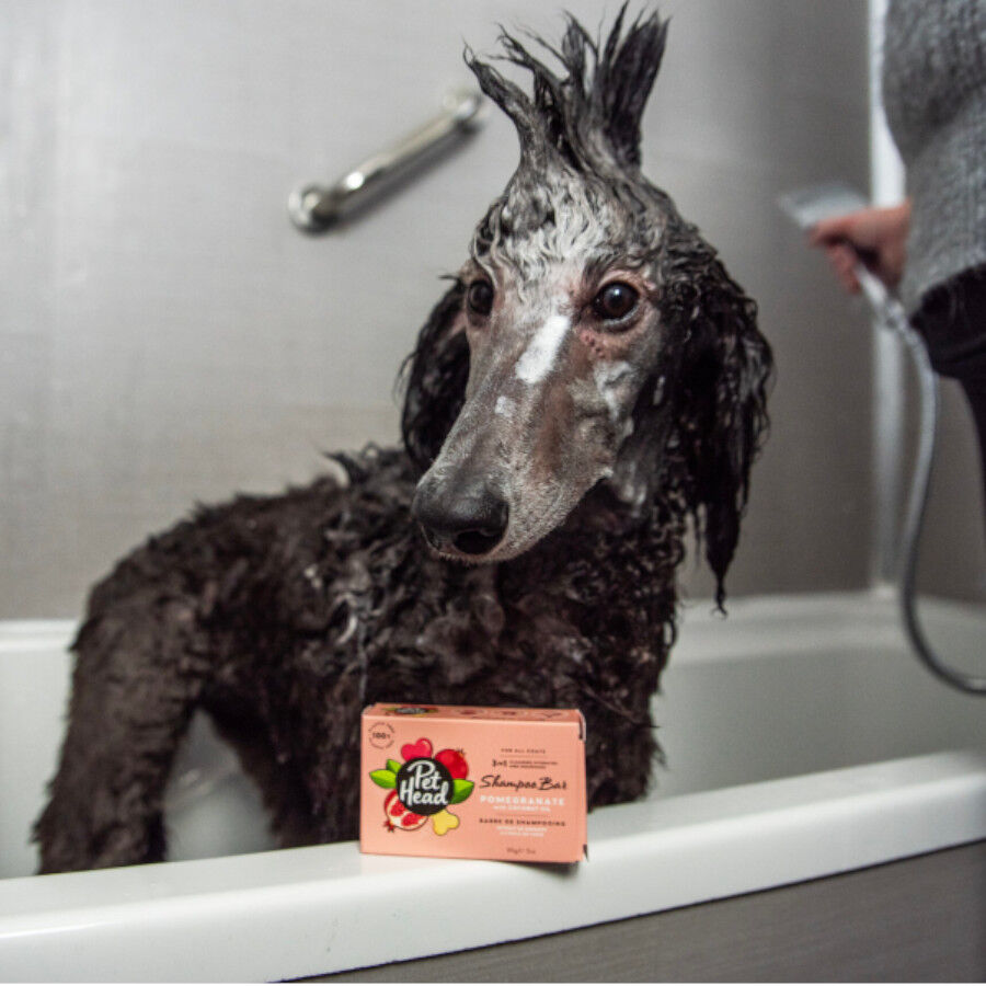 Pet Head champ&uacute; en pastilla 3 en 1 olor granada para perros, , large Imagen numero 2