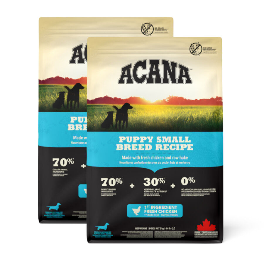 Acana Puppy Small Breed pienso para perros