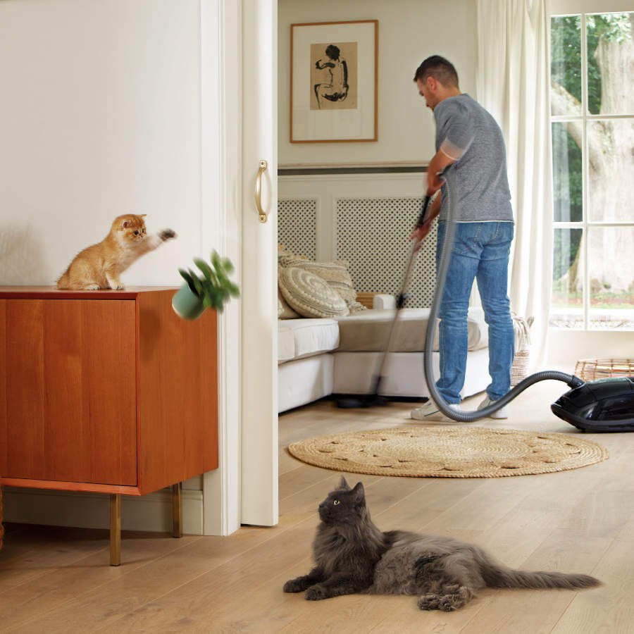 Beaphar Catcomfort Collar de feromonas relajante para gatos, , large Imagen numero 3