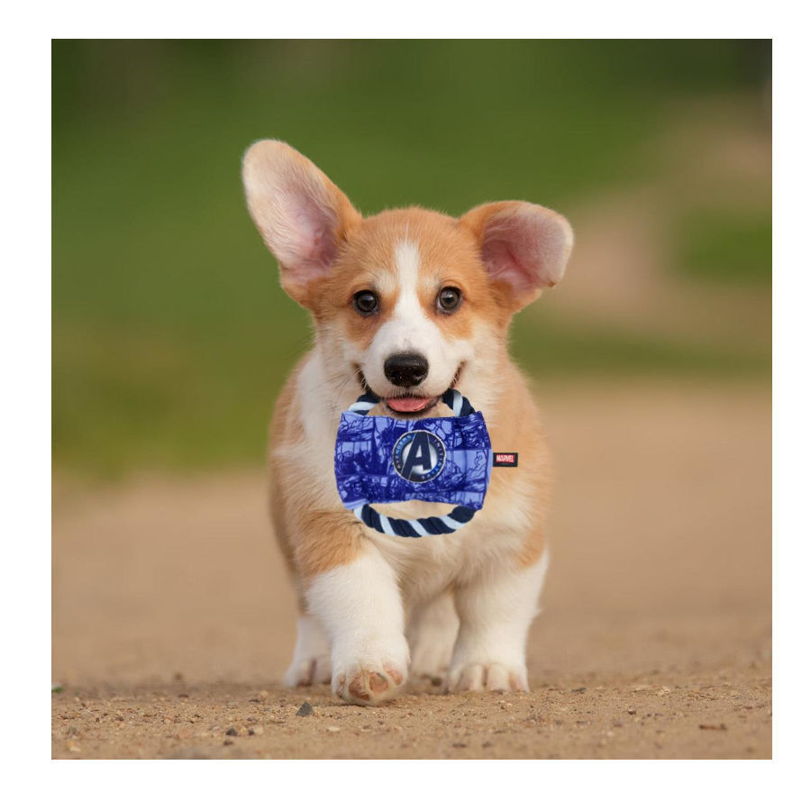 Disney Marvel Disco de Cuerda para perros, , large Imagen numero 4