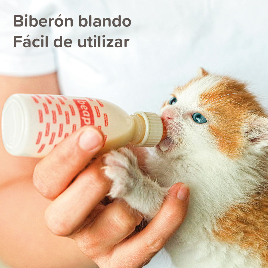 Beaphar Lactol Kit Biber&oacute;n para mascotas, , large Imagen numero 5