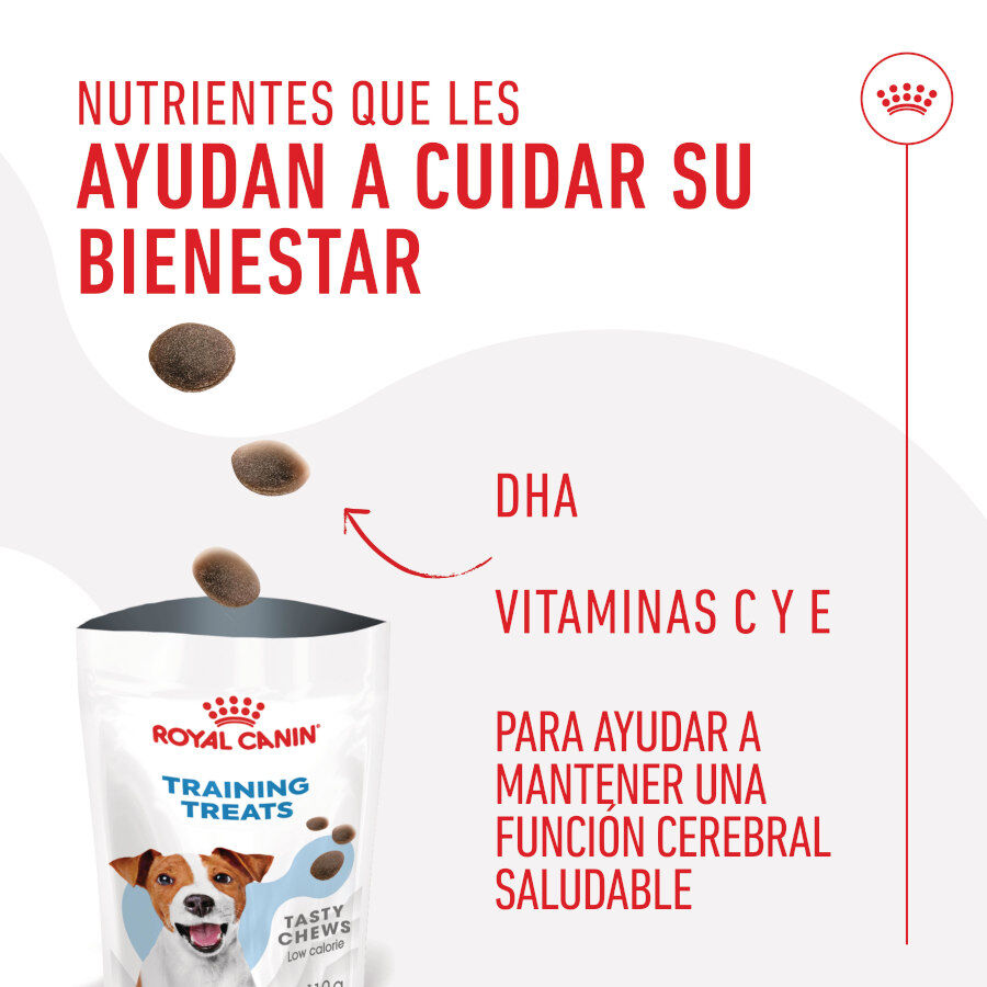 110 g Royal Canin Training Treats Snacks para perros, , large Imagen numero 5