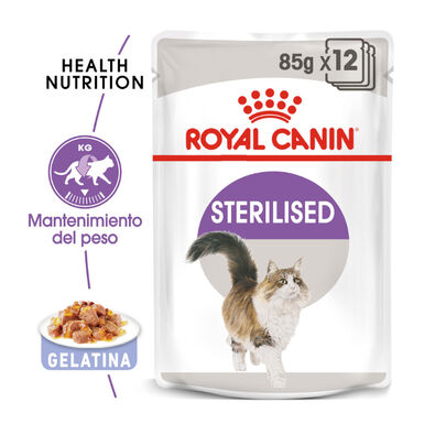 Royal Canin Sterilised gelatina sobres para gatos -Pack 12 