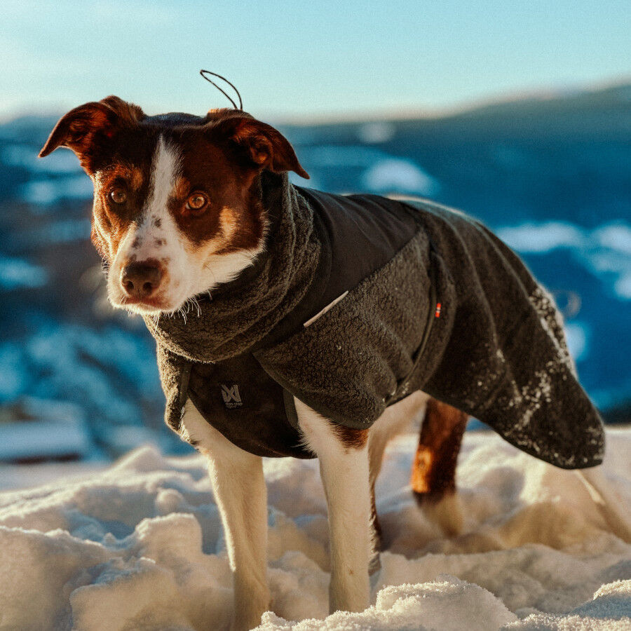 Non-stop Dogwear Abrigo de Lana Azul y Verde Oscuro para perros, , large Imagen numero 4