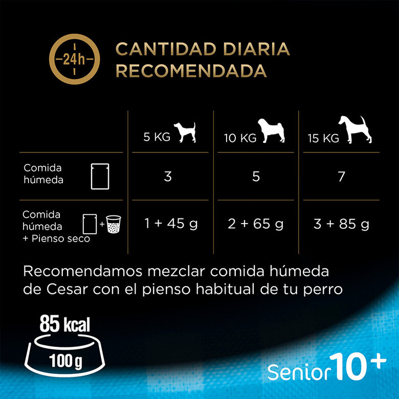 pienso_humedo_perros_cesar_pouche_senior_06_CES306102.jpg Imagen numero 5 pienso_humedo_perros_cesar_pouche_senior_06_CES306102.jpg Imagen numero 5