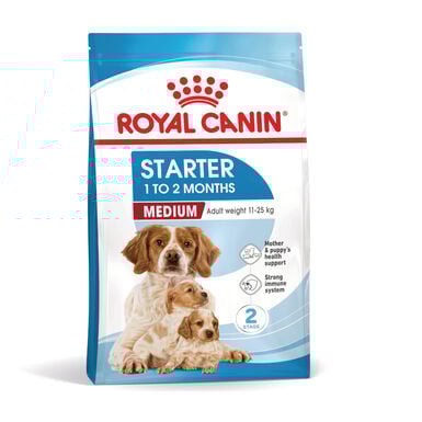 Royal Canin Medium Starter Mother&Baby pienso para perros