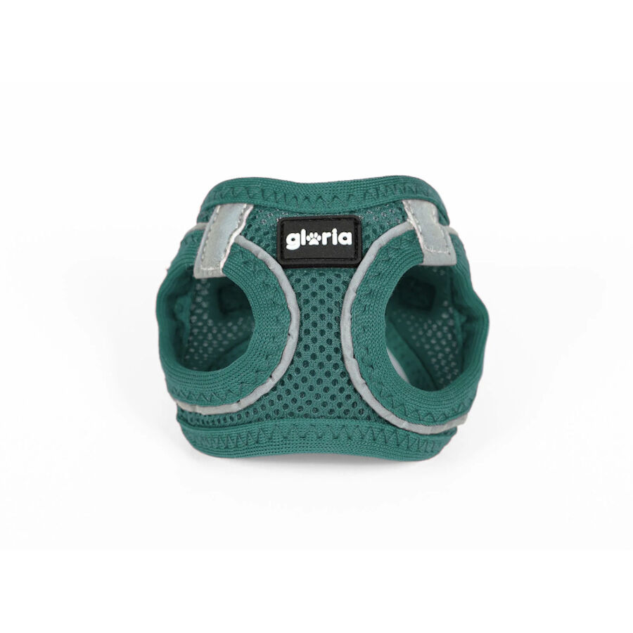 Gloria Air Mesh Trek Star Turquesa Arn&eacute;s/Vestido para perros, , large Imagen numero 2