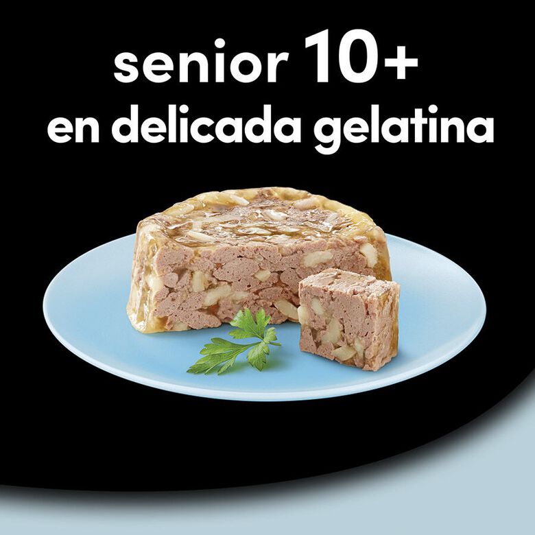 Cesar Carnes Mixtas Tarrina en Gelatina para Perros Senior - Multipack thumbnail