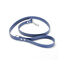 Gotoo Correa Biothane azul para perros, , large indicador imagen numero 1