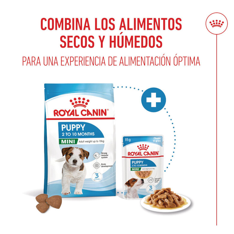 8 kg Royal Canin Mini Puppy pienso para perros,  Imagen numero 6 8 kg Royal Canin Mini Puppy pienso para perros, , large Imagen numero 6