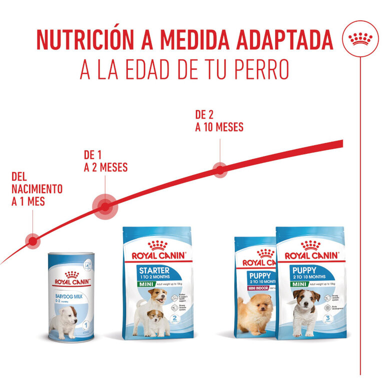 8 kg Royal Canin Starter MotheryBaby Mini pienso para perros,  Imagen numero 7 8 kg Royal Canin Starter MotheryBaby Mini pienso para perros, , large Imagen numero 7